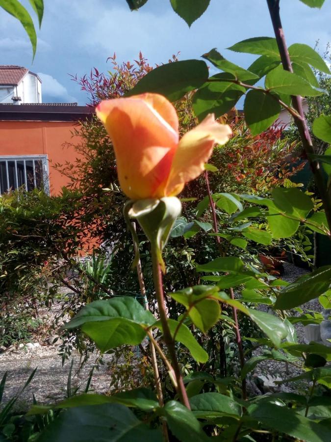 B&B Antica Corte Lombarda Mortara Luaran gambar