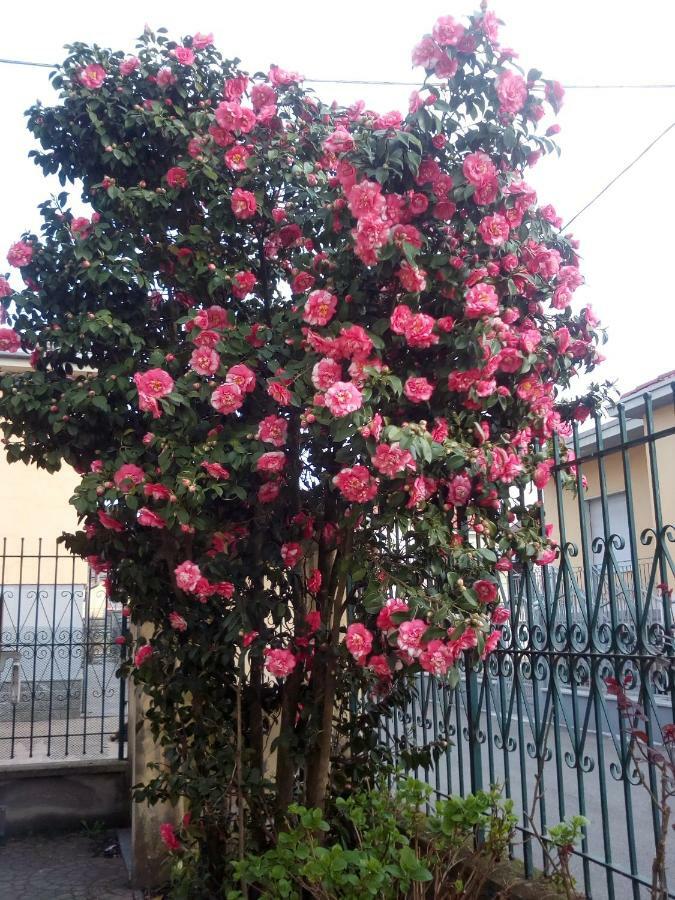 B&B Antica Corte Lombarda Mortara Luaran gambar