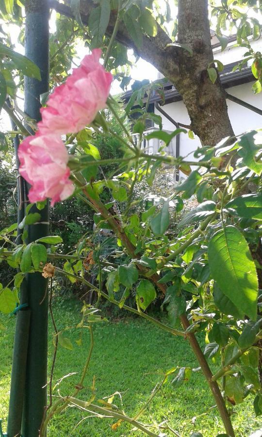 B&B Antica Corte Lombarda Mortara Luaran gambar